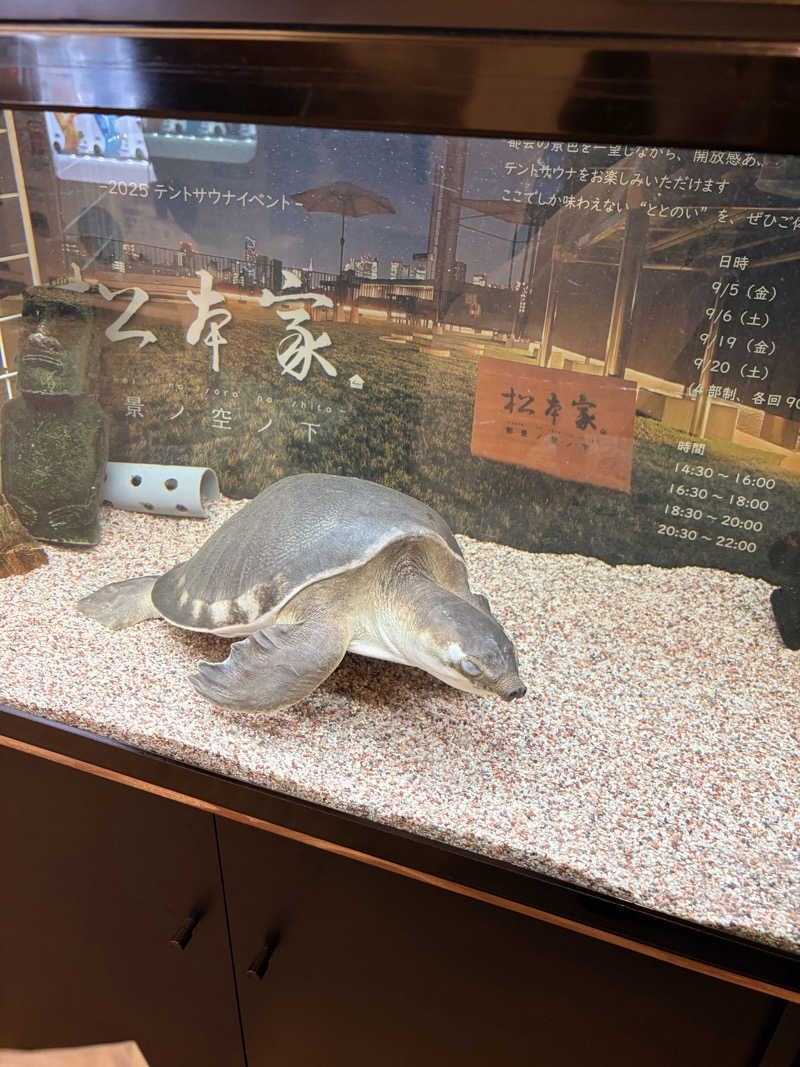 がんばるかに！さんの松本湯のサ活写真