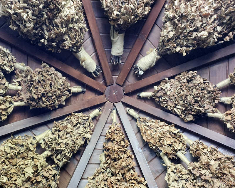 すがや君さんのSAUNA TEN            "Birch and cloud forest"のサ活写真