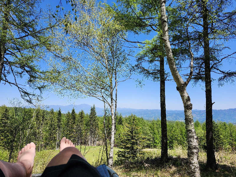すがや君さんのSAUNA TEN            "Birch and cloud forest"のサ活写真