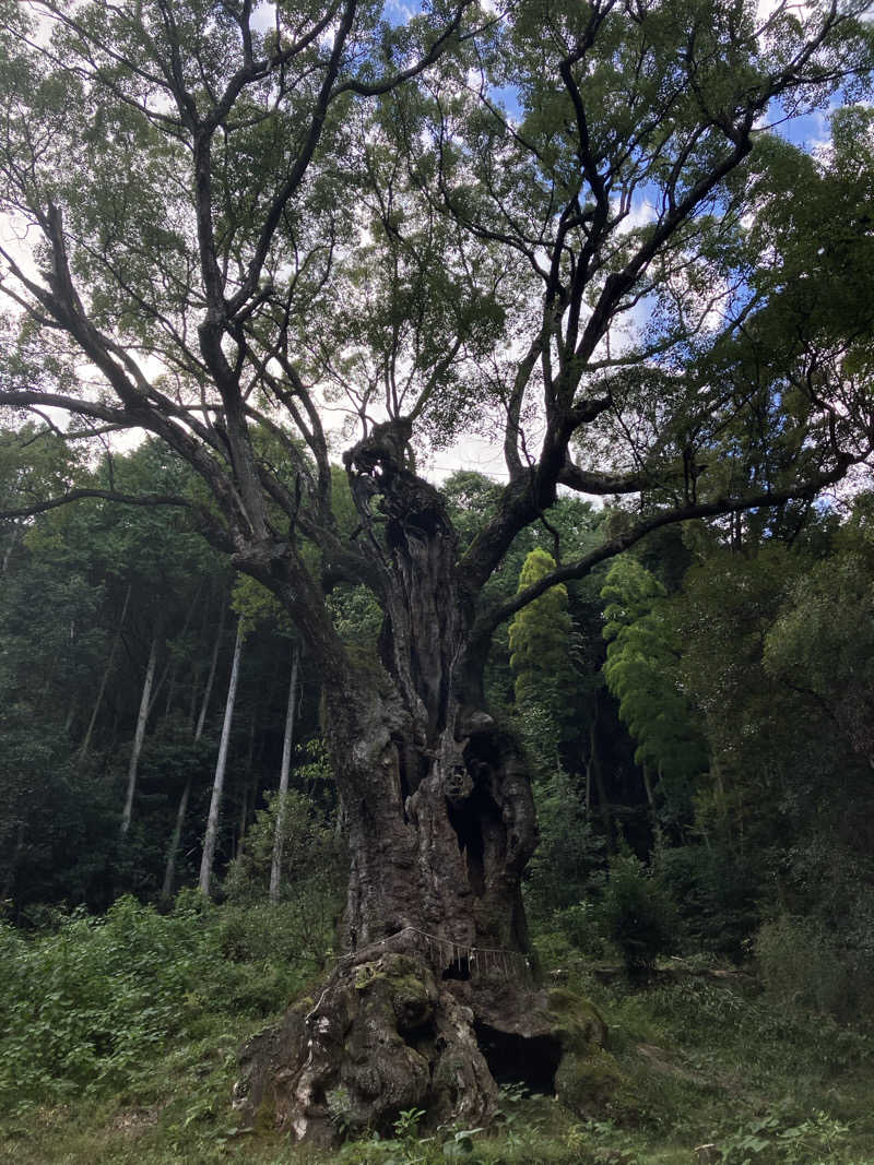 ぺんぺんさんの御船山楽園ホテル  らかんの湯のサ活写真