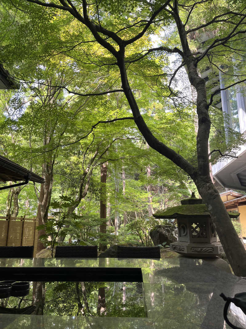 マチョこうさんの森の栖 リゾート&スパのサ活写真