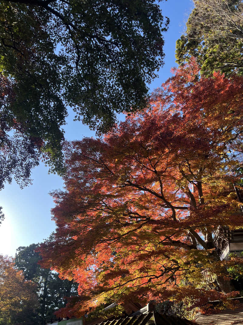 hideyaさんの東京荻窪天然温泉 なごみの湯のサ活写真