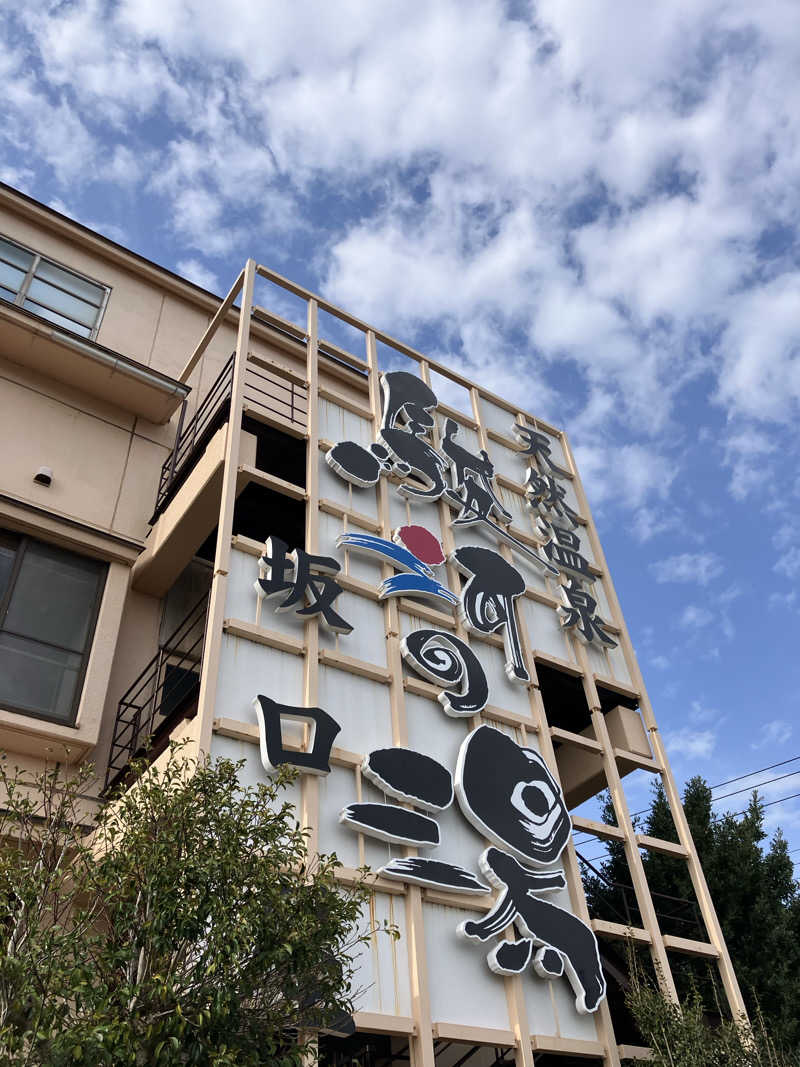326さんの駿河の湯 坂口屋のサ活写真