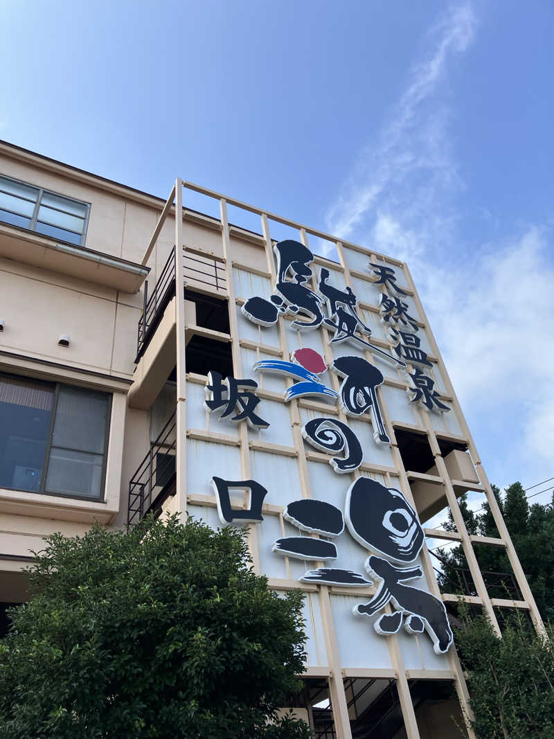 326さんの駿河の湯 坂口屋のサ活写真