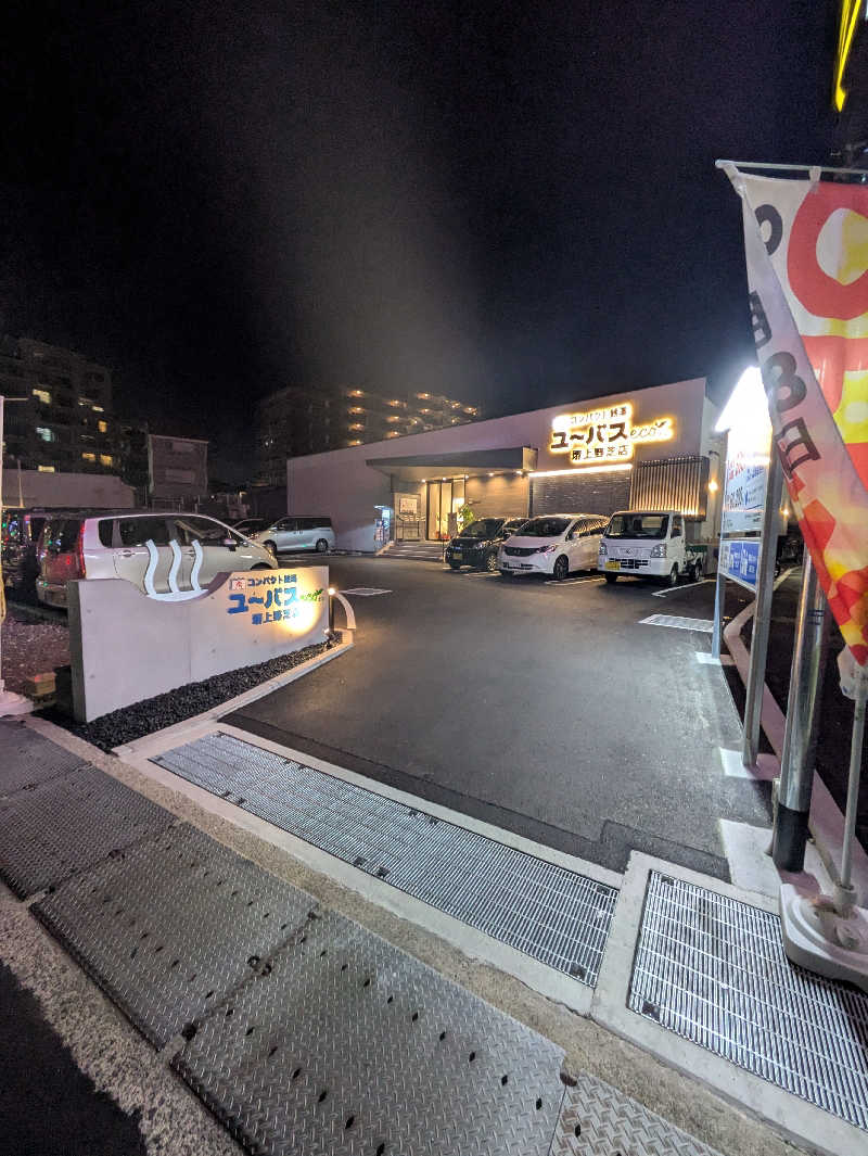 背面洗いのもっち～なさんのユーバスeco 堺上野芝店のサ活写真