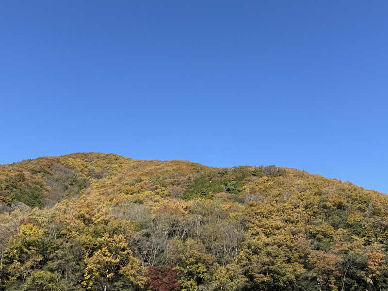 いっちーさんのヘルシースパサンロード しもべの湯のサ活写真