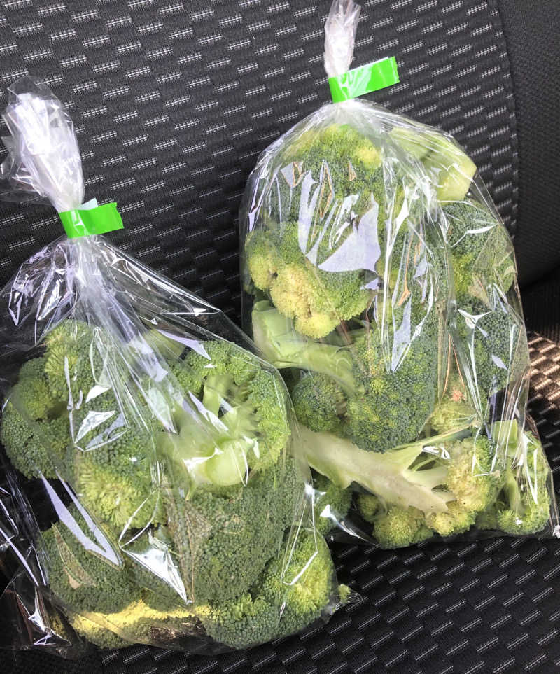 ナナメさんの前橋やすらぎの湯のサ活写真