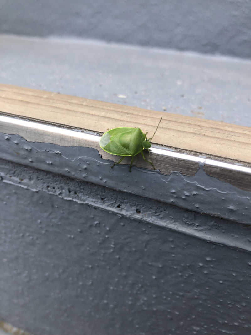 ナナメさんの前橋やすらぎの湯のサ活写真