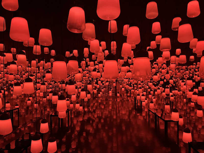 サボリーマンさんの御船山楽園ホテル  らかんの湯のサ活写真