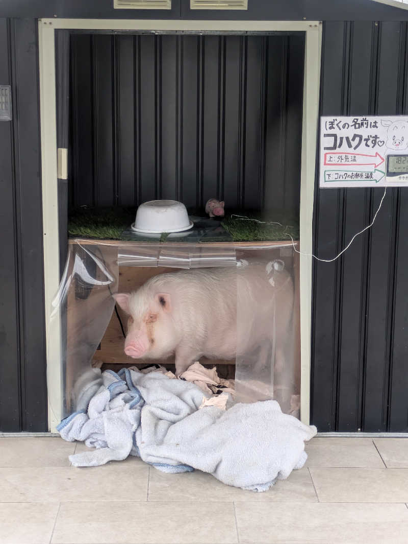ゆーばーれーべんさんのまるた屋温泉 西方の湯のサ活写真