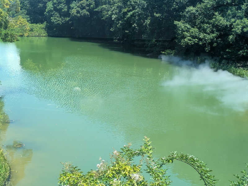 ゆーばーれーべんさんの宗像王丸・天然温泉 やまつばさのサ活写真