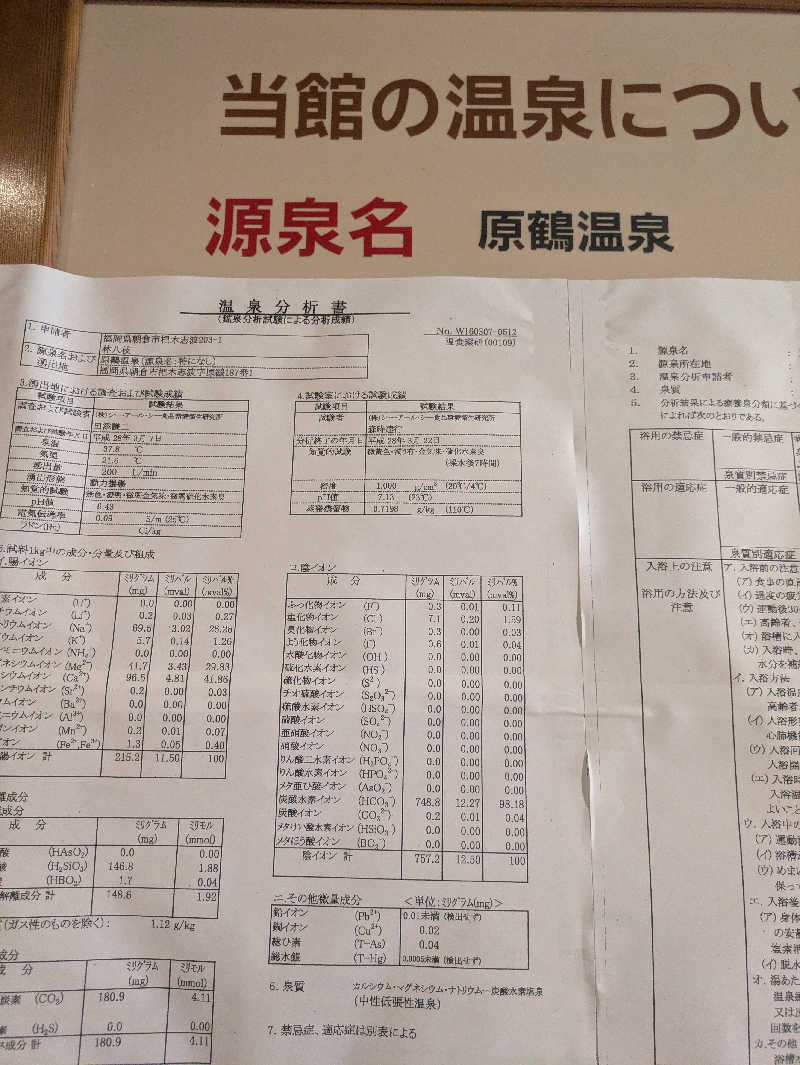 ゆーばーれーべんさんのビューホテル平成のサ活写真