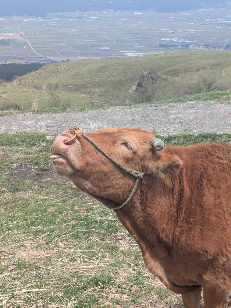 ゆーばーれーべんさんの木の香湯のサ活写真