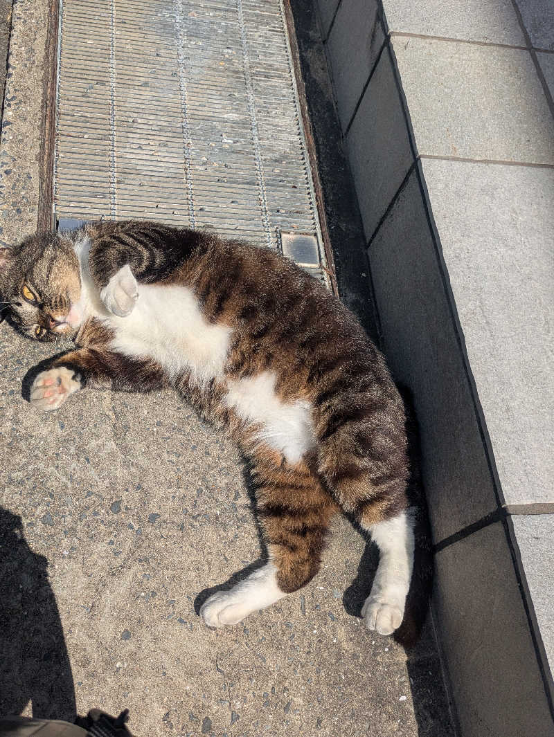 ゆーばーれーべんさんのTHE VANISHのサ活写真