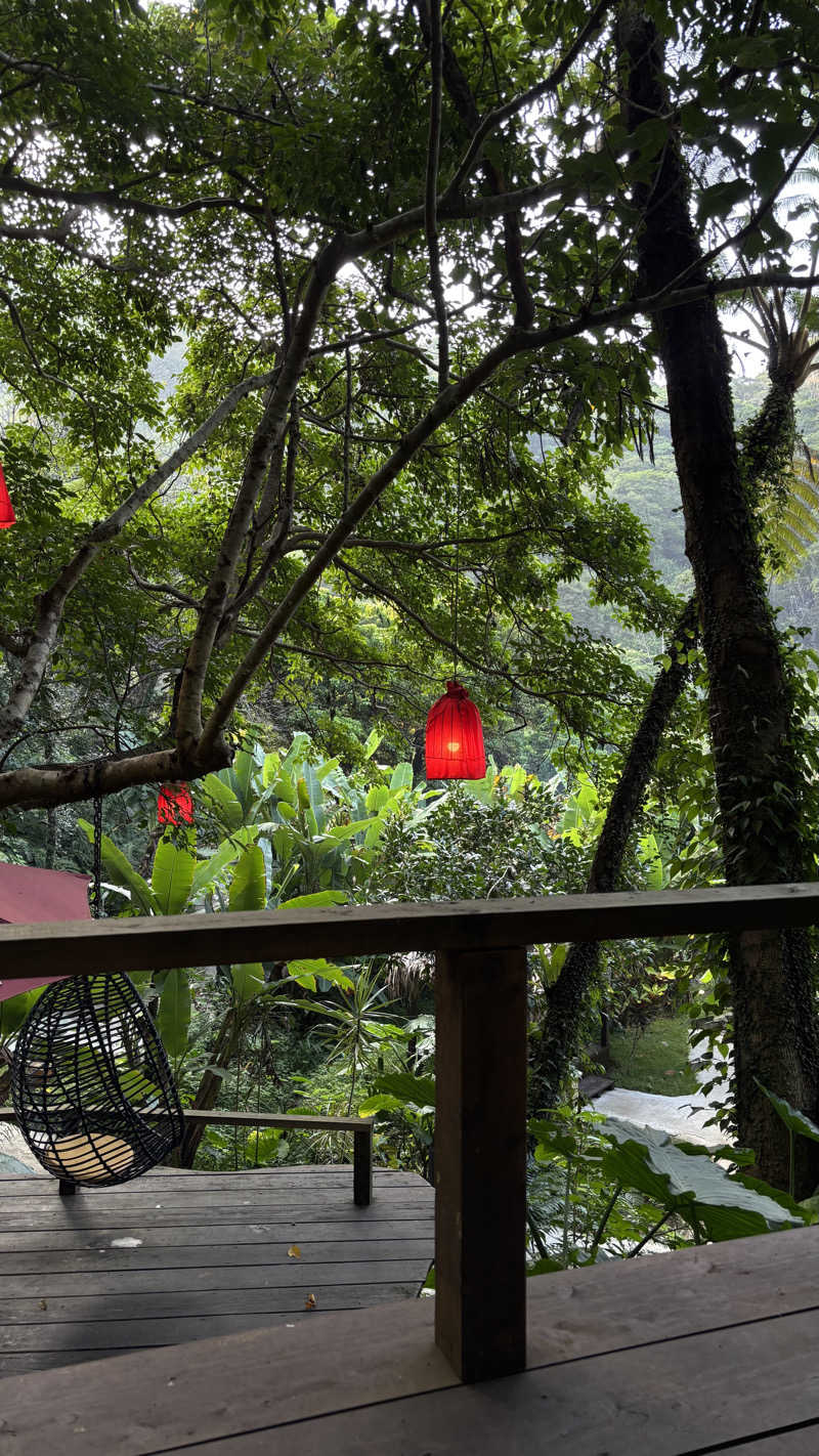 もさんの亜熱帯サウナのサ活写真