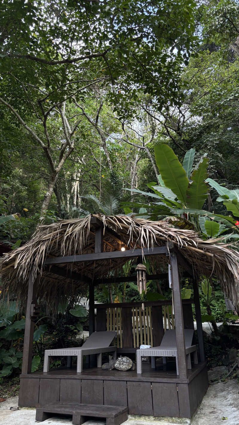 もさんの亜熱帯サウナのサ活写真