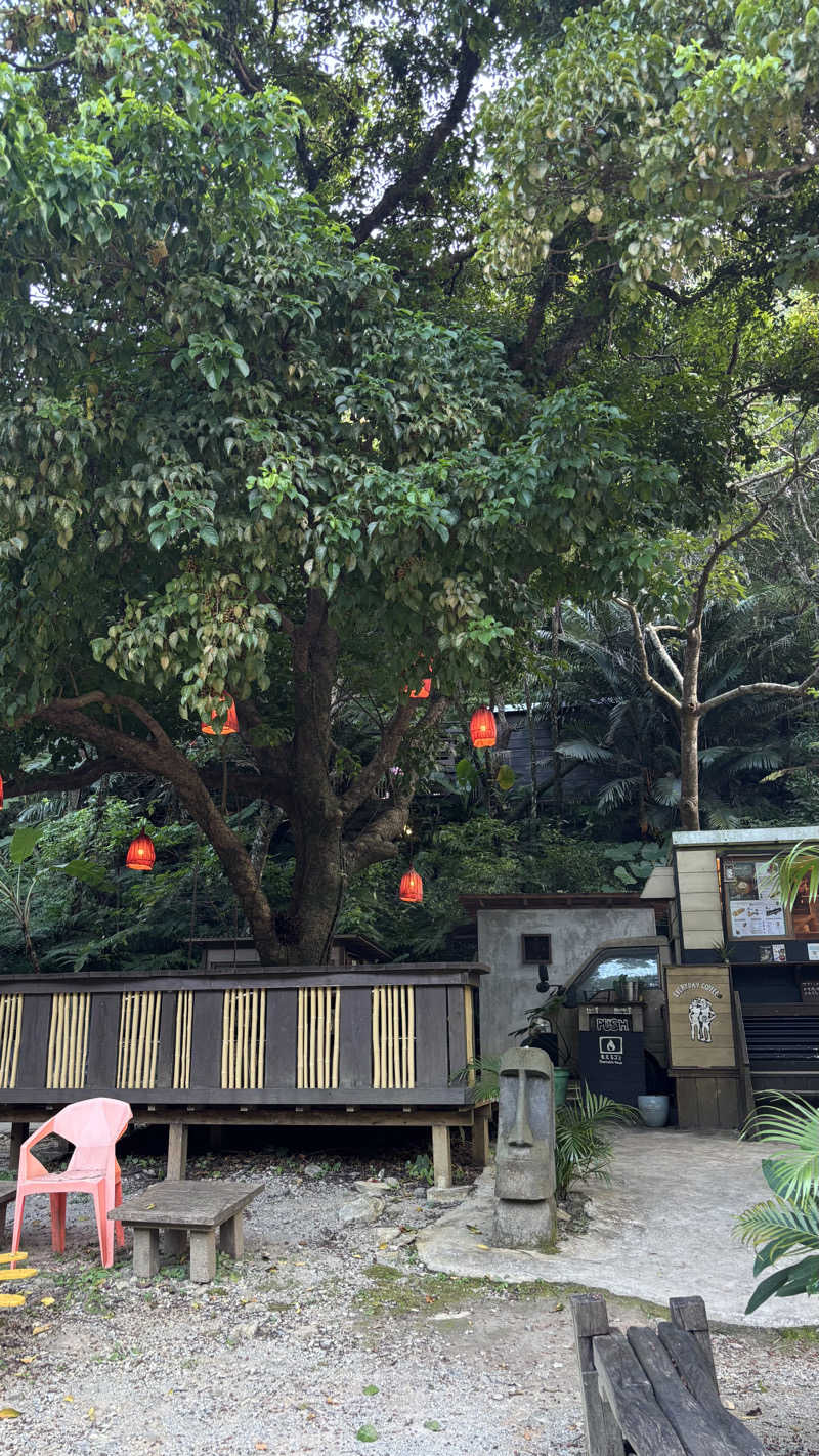 もさんの亜熱帯サウナのサ活写真