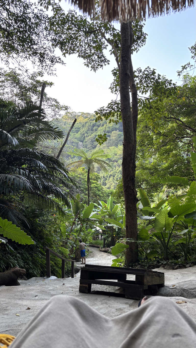 もさんの亜熱帯サウナのサ活写真