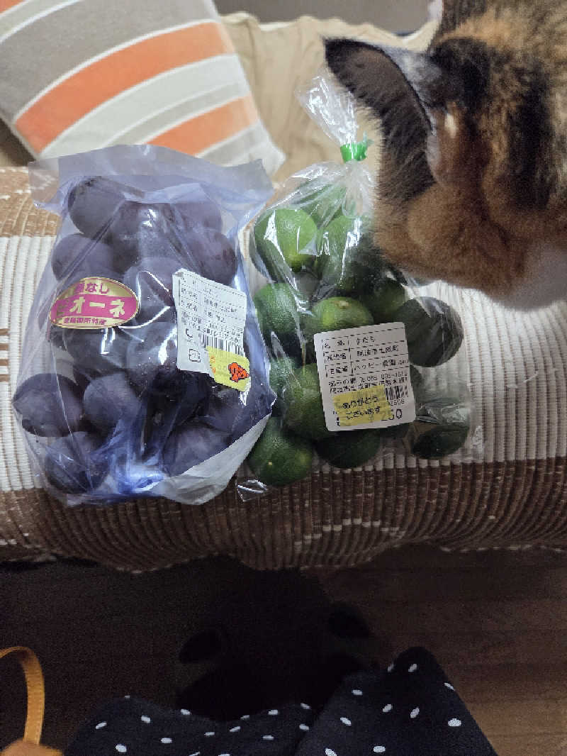 くんさんの天然温泉御所の郷のサ活写真