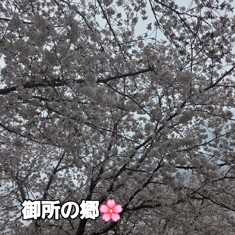 くんさんの天然温泉御所の郷のサ活写真