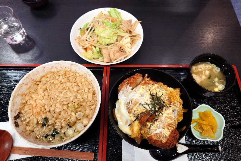 haya_neko3(はやねこ)さんのスパ&カプセル ニューウイングのサ活写真