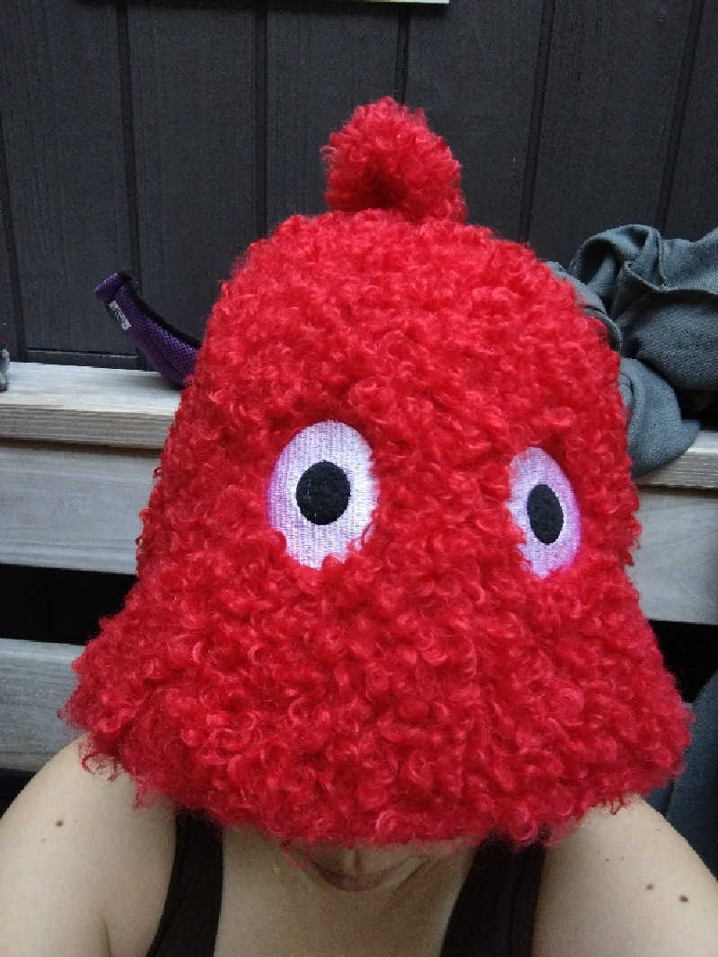 やまくんさんの花園温泉 sauna kukkaのサ活写真