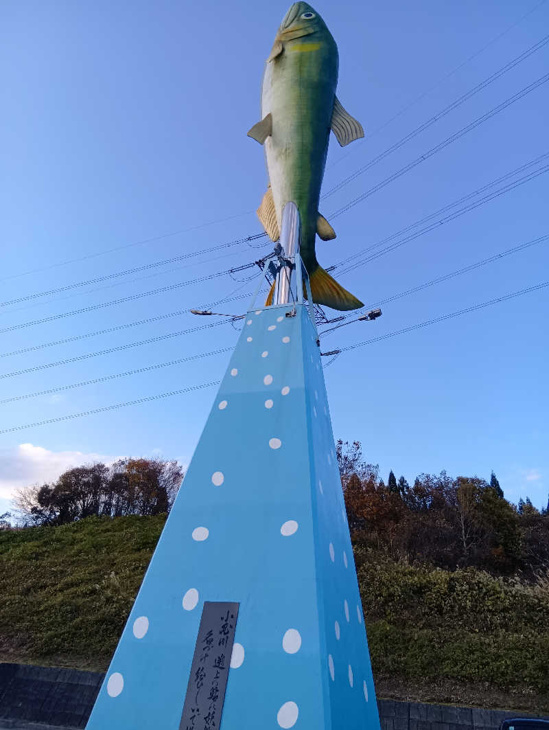 ぱっちゃんさんの舟形若あゆ温泉清流センターのサ活写真