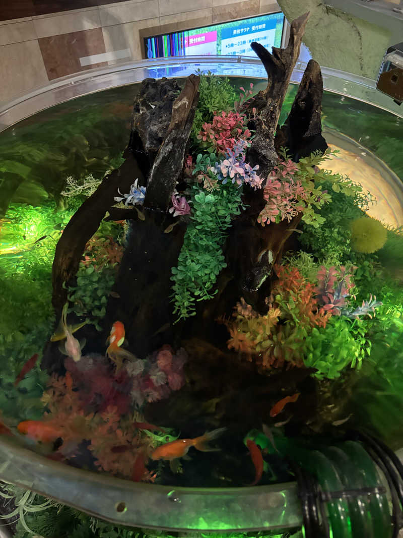 しうさくさんのウェルビー福岡のサ活写真