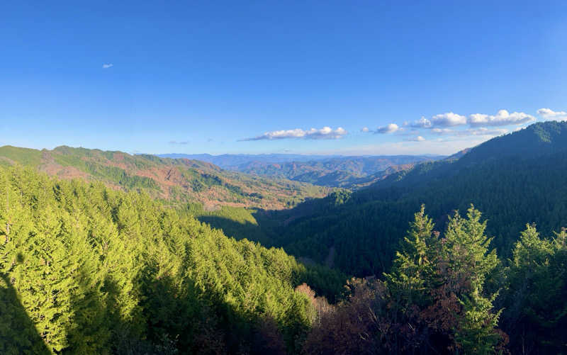 くろね子さんの遠山郷 かぐらの湯のサ活写真