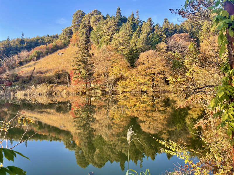 くろね子さんの遠山郷 かぐらの湯のサ活写真