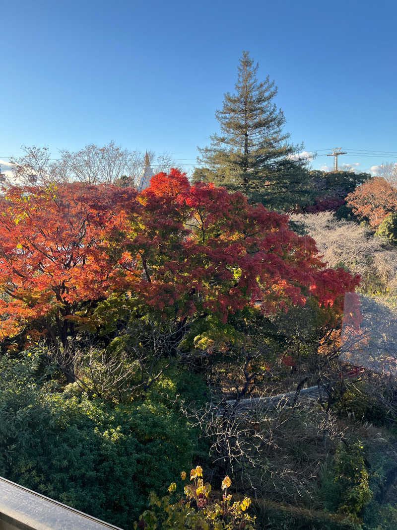 イムカさんのよみうりランド眺望温泉 花景の湯のサ活写真