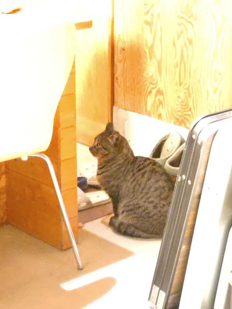 Y2さんのCamp & Sauna UUSi Kamogawaのサ活写真