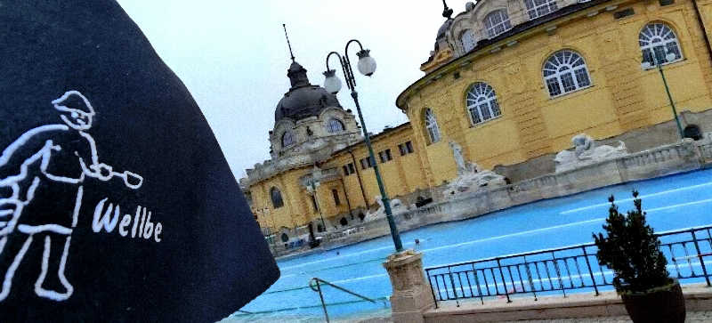 tossyさんのセーチェーニ温泉のサ活写真