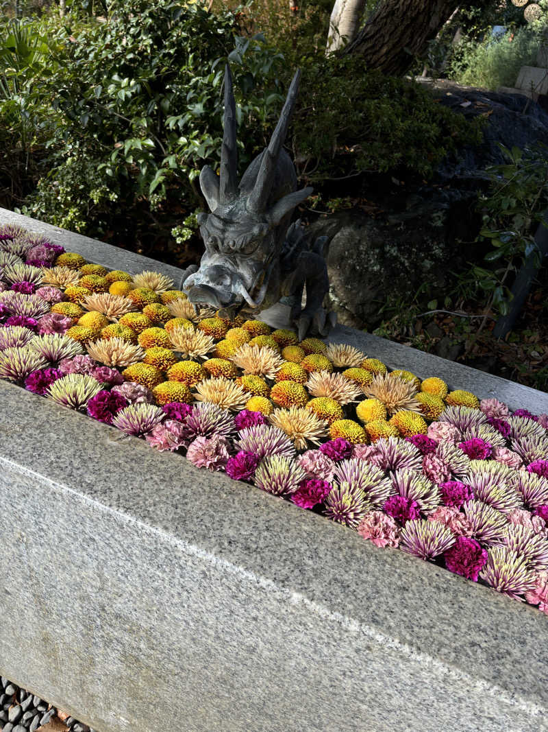 まるじさんのよみうりランド眺望温泉 花景の湯のサ活写真