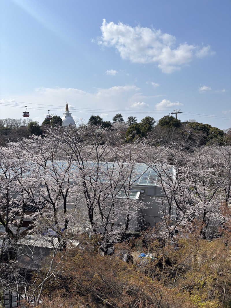 まるじさんのよみうりランド眺望温泉 花景の湯のサ活写真