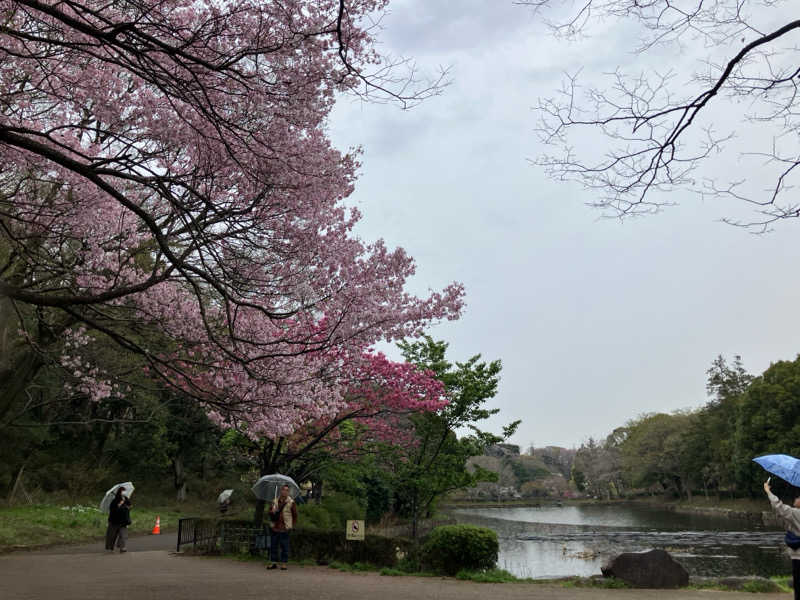 P(ピ)さんのスパ リブール ヨコハマのサ活写真