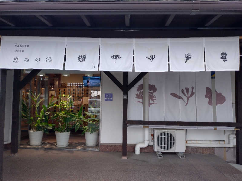 ゆんゆんさんの岐阜各務原 恵みの湯のサ活写真