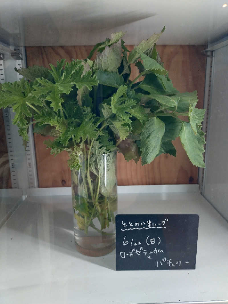 ゆんゆんさんの岐阜各務原 恵みの湯のサ活写真