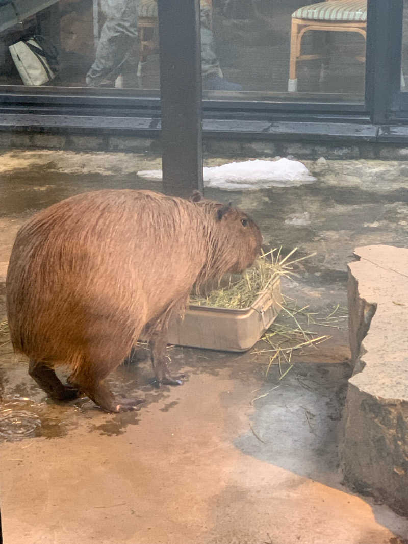 ユウさんの石狩天然温泉 番屋の湯のサ活写真