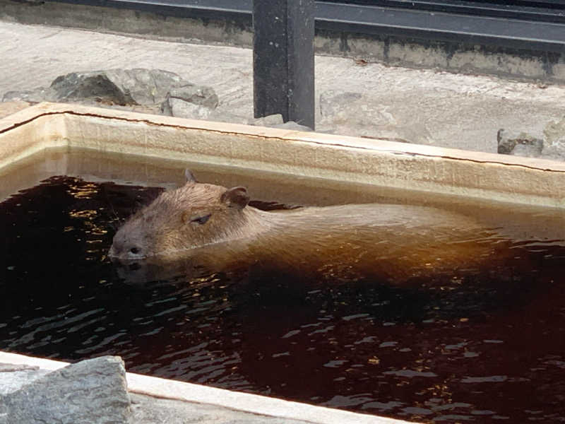 ユウさんの石狩天然温泉 番屋の湯のサ活写真