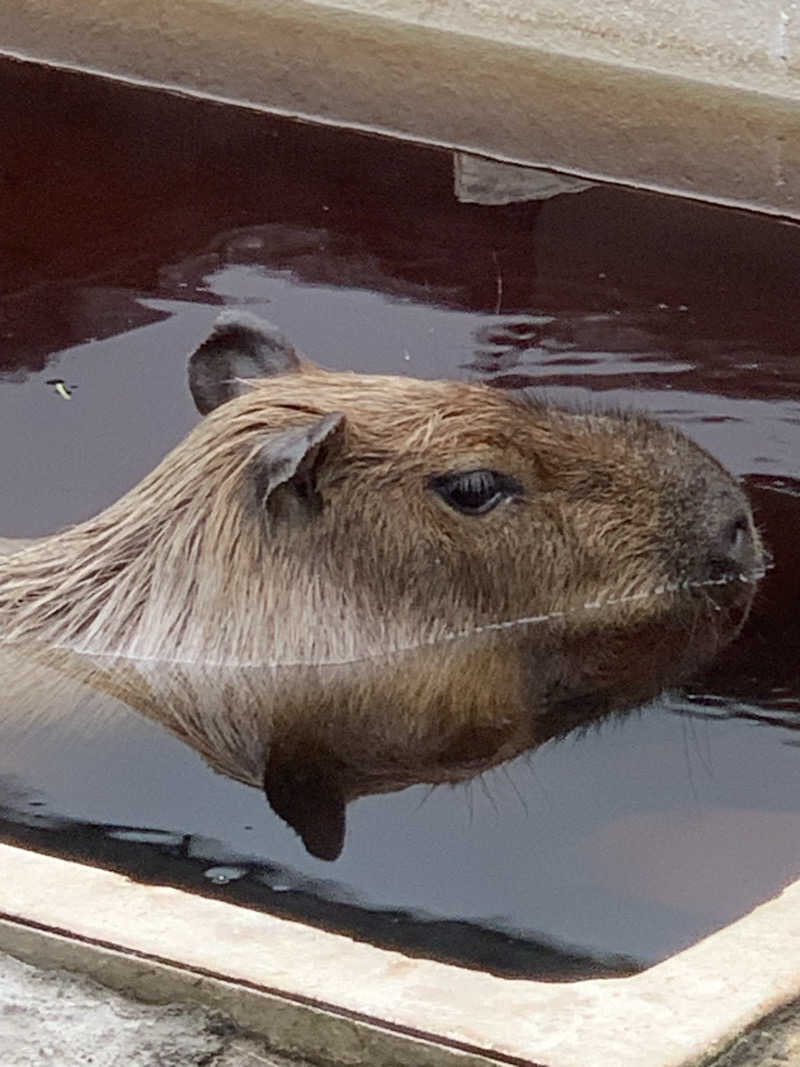 ユウさんの石狩天然温泉 番屋の湯のサ活写真