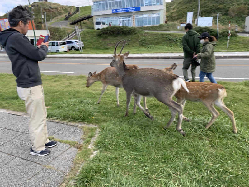 ユウさんの幌加内せいわ温泉ルオントのサ活写真