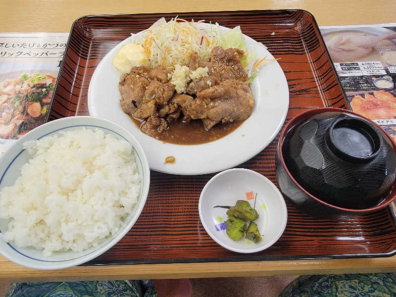 ほっしー（호시노 시게루）さんの湯の泉 東名厚木健康センターのサ活写真