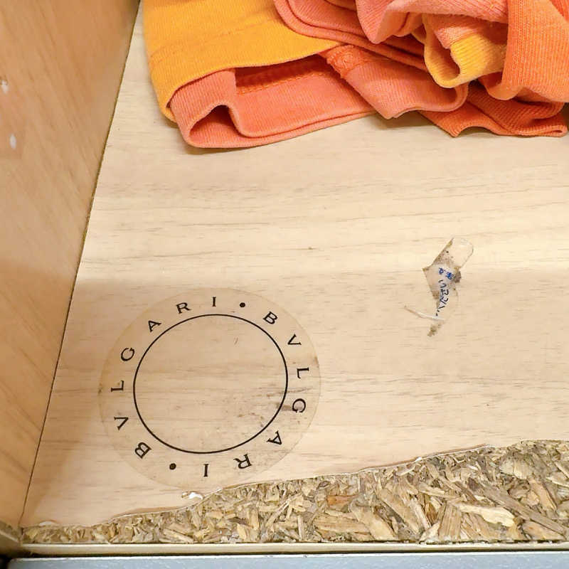 gumiさんのスパレックス東大門のサ活写真