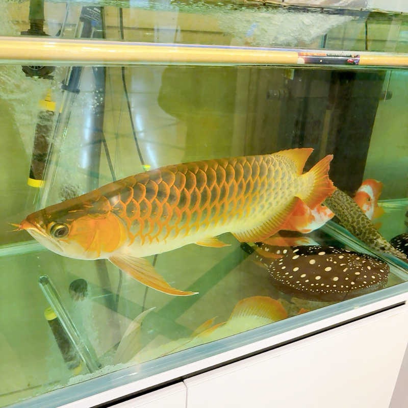 gumiさんのスパレックス東大門のサ活写真