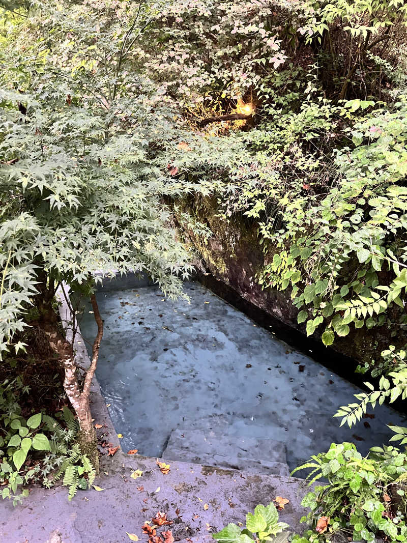 ワイさんのアースガーデンリゾート サウナイン東京奥多摩のサ活写真