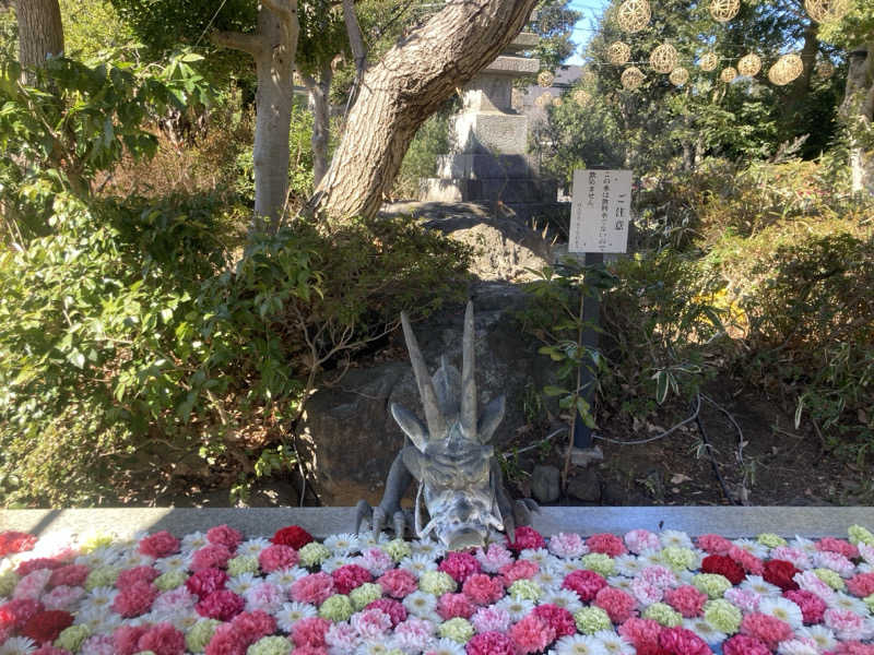 トロさんのよみうりランド眺望温泉 花景の湯のサ活写真