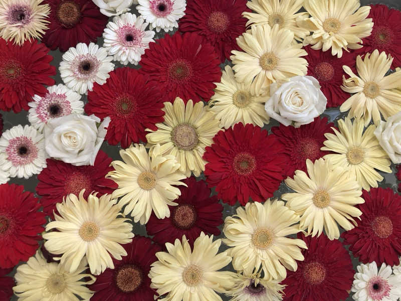 トロさんの横浜天然温泉 SPA EASのサ活写真