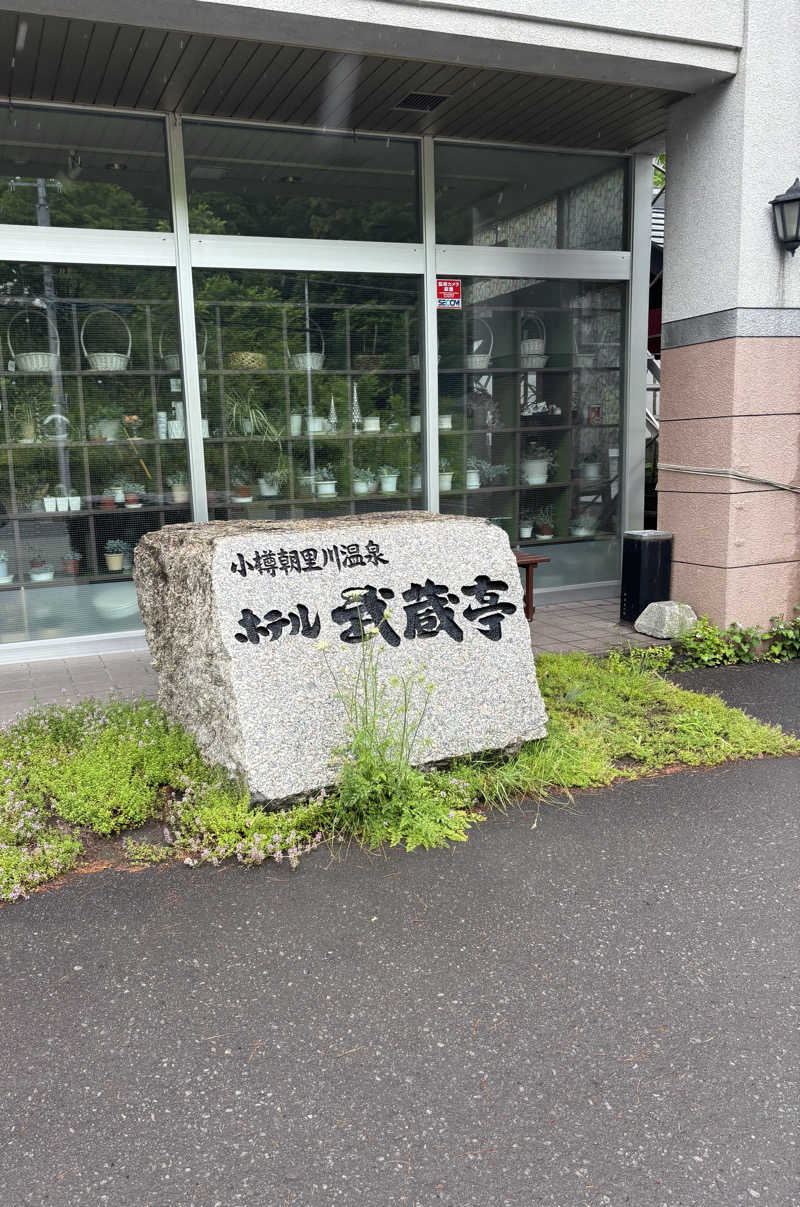 sauさんのホテル 武蔵亭のサ活写真