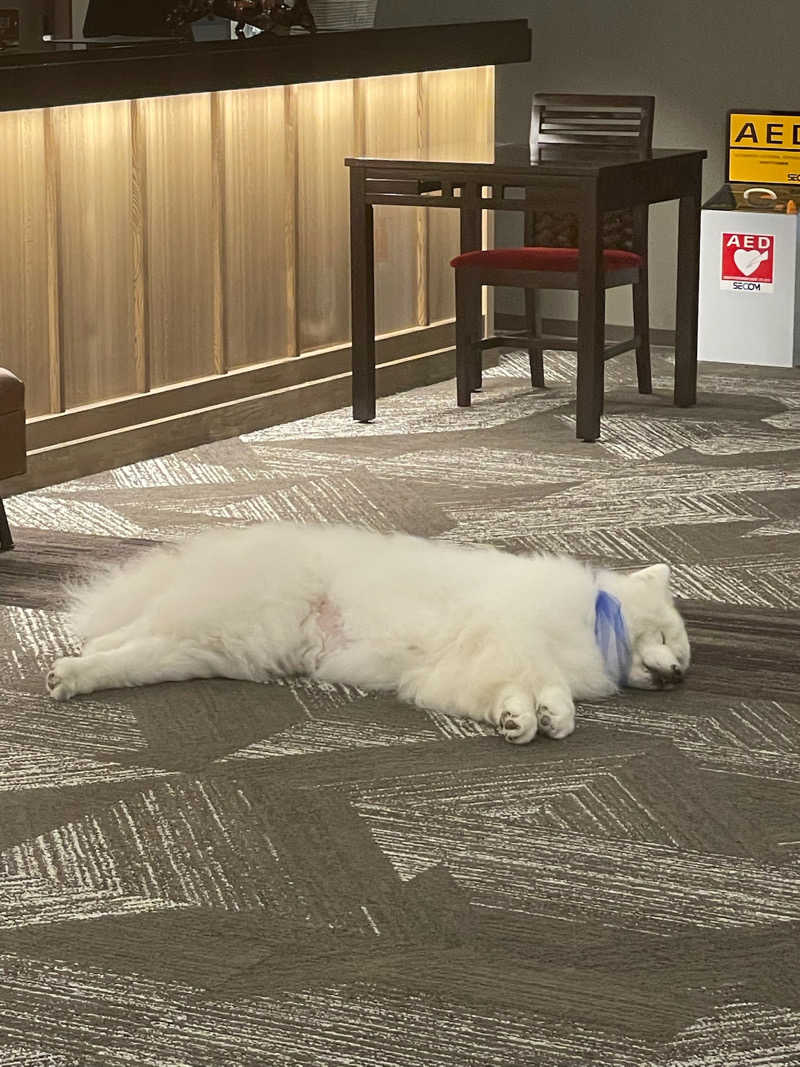 とづかえいきちさんの九重悠々亭のサ活写真